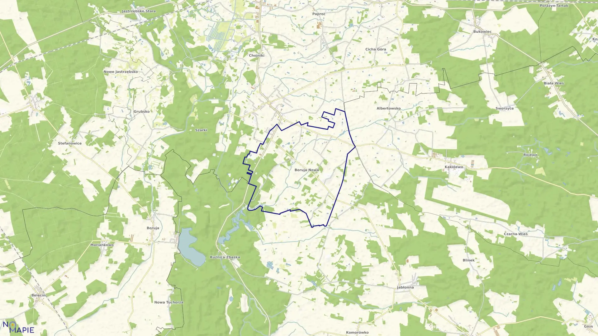 Mapa obrębu BORUJA NOWA w gminie Nowy Tomyśl